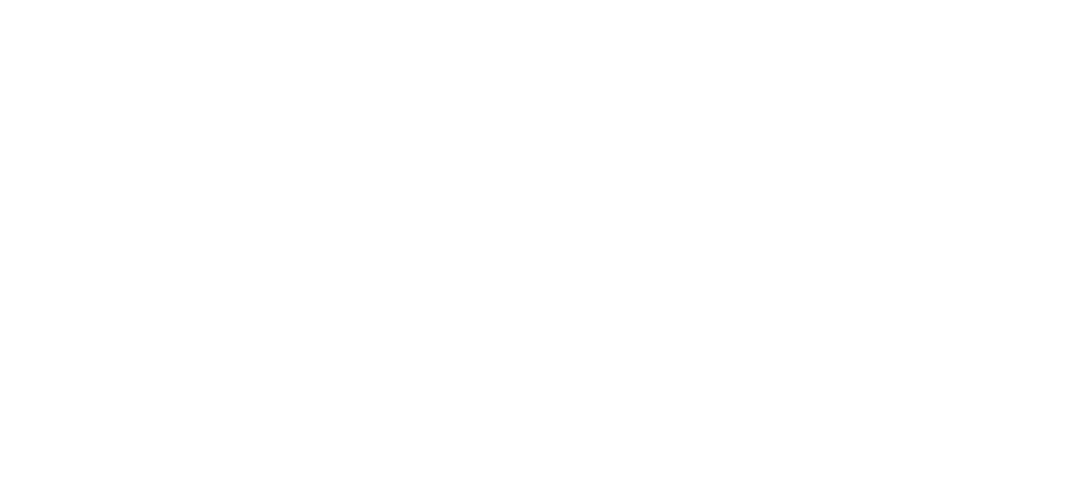 Bross Bagels